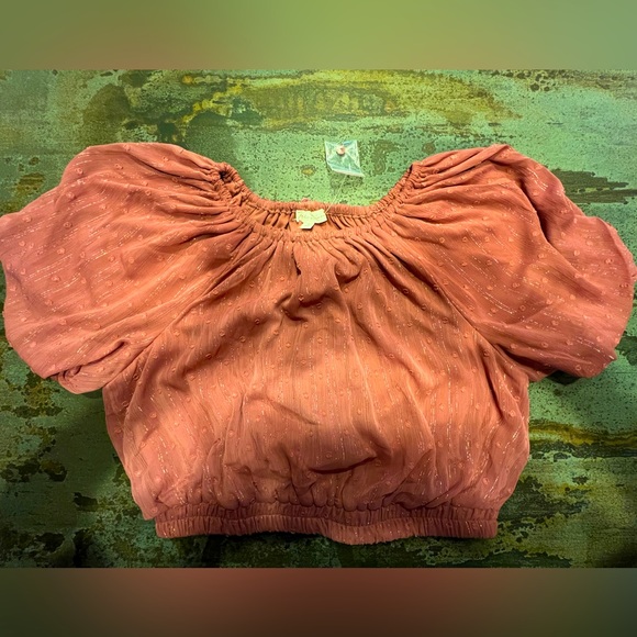 🤎❤️👚BY THE RIVER Anthropologie Rusty Rose Metallic Blouse Shirt Top NWT - Picture 1 of 12